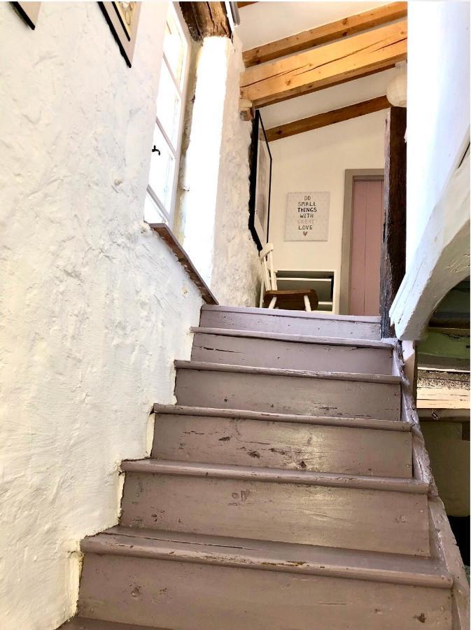 Le Gite De La Maison Des Chats - Gite En Quercy Saint-Amans-du-Pech Bagian luar foto